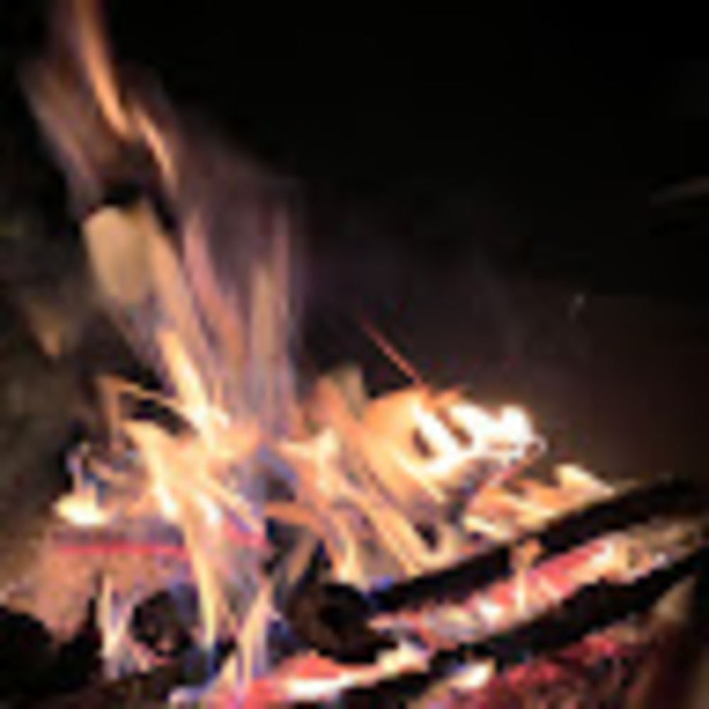 Meet your Posher, Julieann